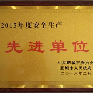 2015年度安全生产单位